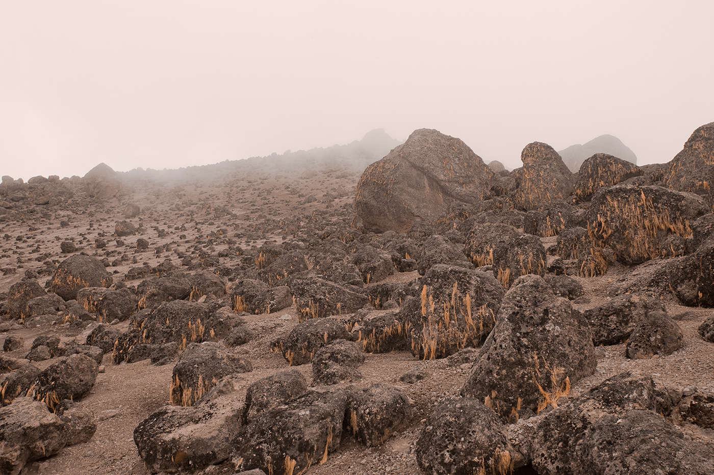 my-wanderlust-notes-sulla-cima-del-kilimanjaro-lava